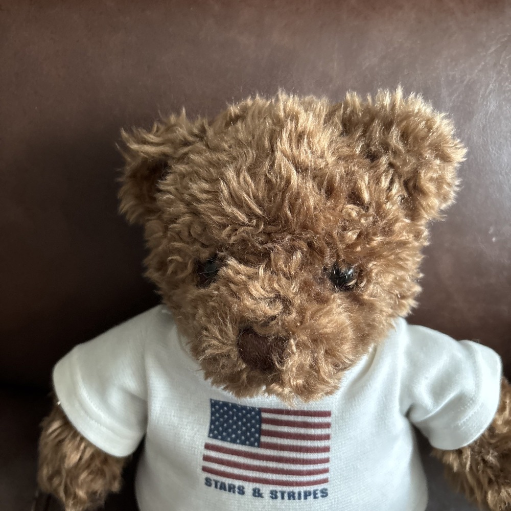 Vintage Gund 2000 15" American Stars & Stripes Hope Joy Love Peace Teddy Bear - Picture 2 of 6